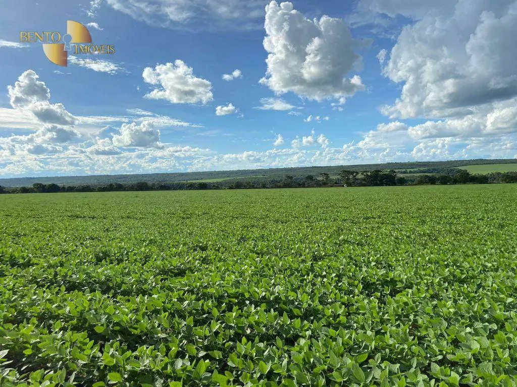 Farm for sale of 1,606 acres in Nobres, MT, Brazil
