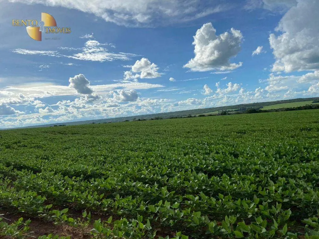 Farm for sale of 1,606 acres in Nobres, MT, Brazil