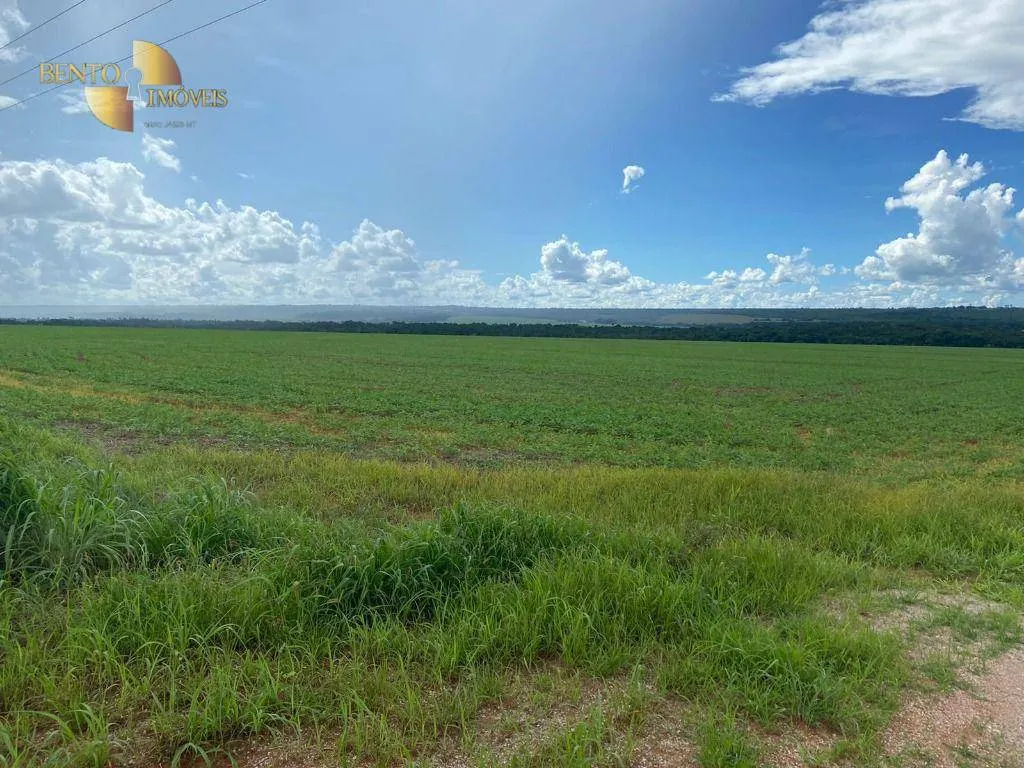 Farm for sale of 1,606 acres in Nobres, MT, Brazil