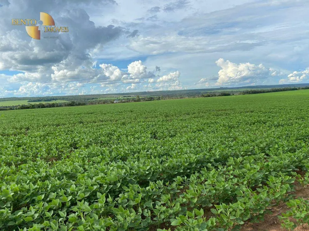 Farm for sale of 1,606 acres in Nobres, MT, Brazil