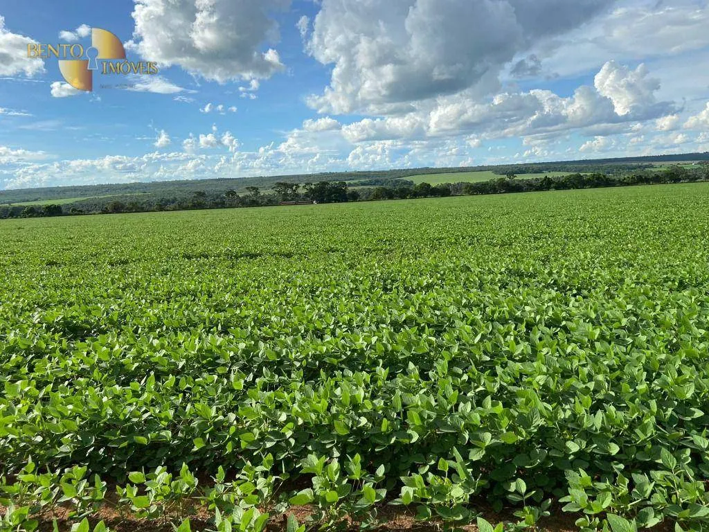 Farm for sale of 1,606 acres in Nobres, MT, Brazil
