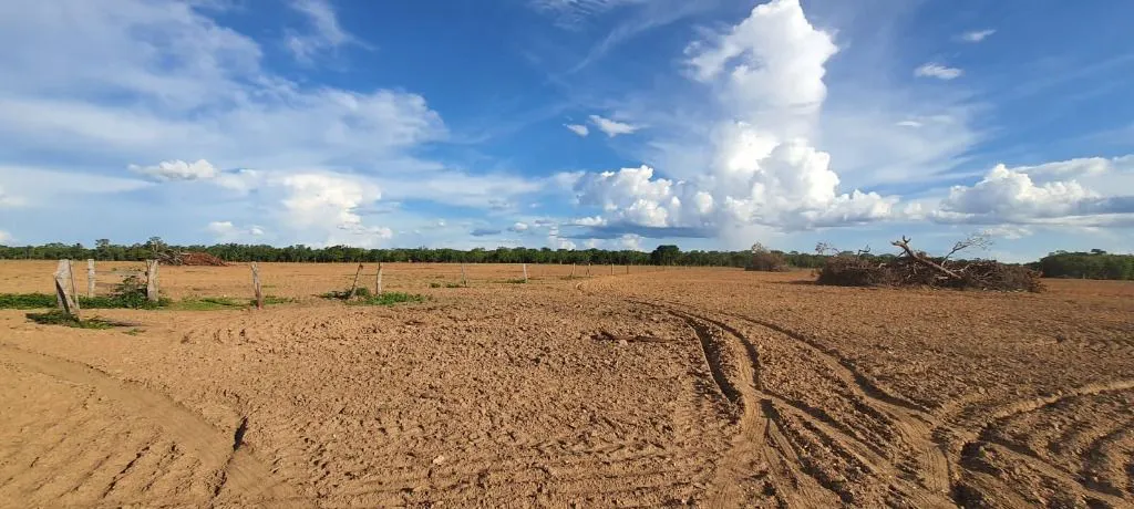 Fazenda à venda e para Arrendar de 632 ha em Poconé, MT, Brasil
