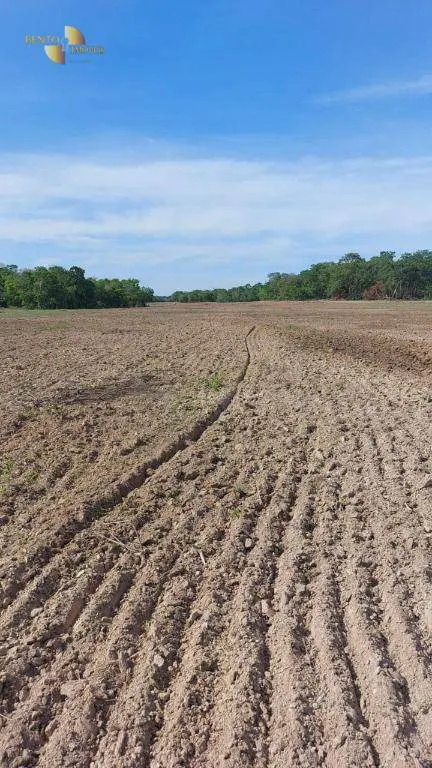 Fazenda à venda e para Arrendar de 632 ha em Poconé, MT, Brasil