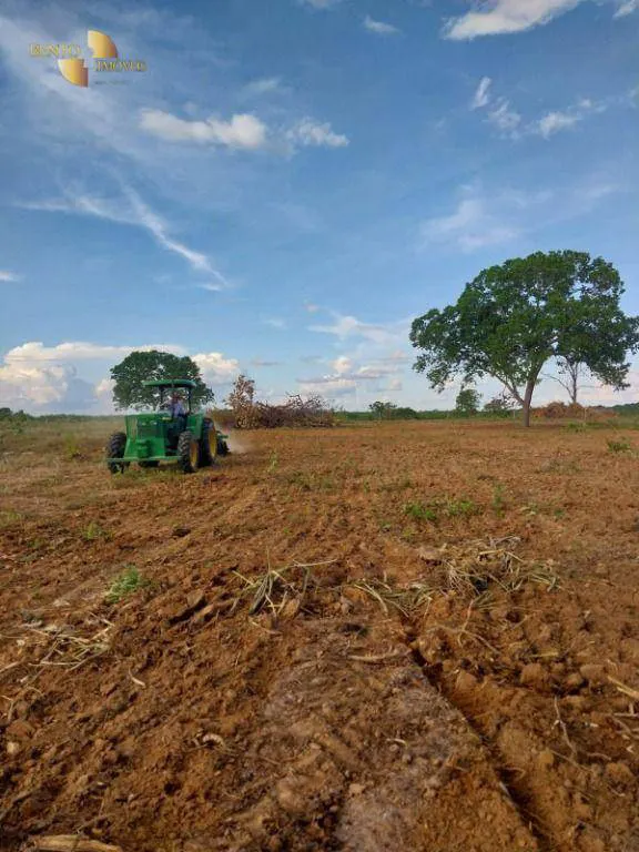 Fazenda à venda e para Arrendar de 632 ha em Poconé, MT, Brasil