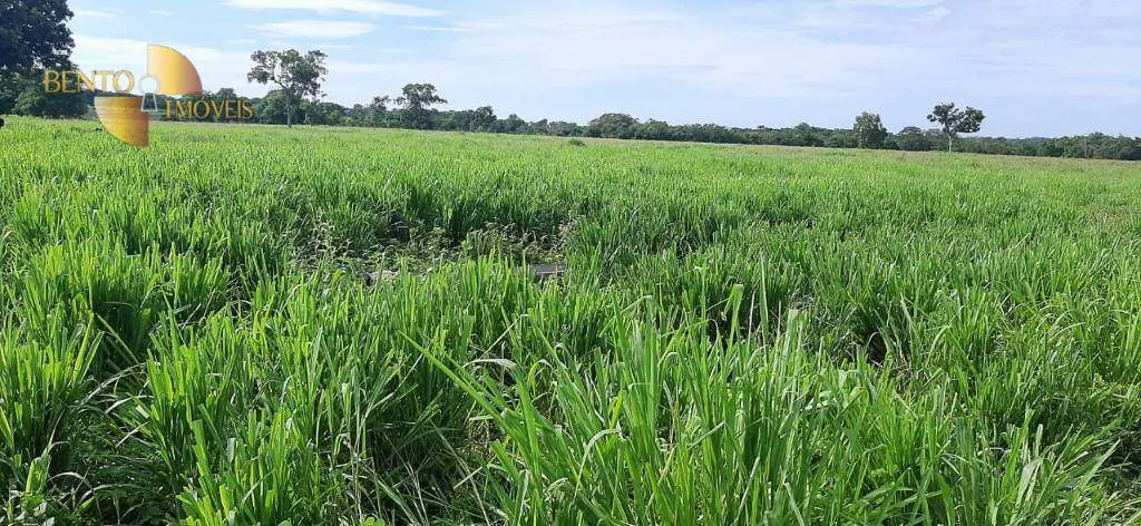 Fazenda à venda e para Arrendar de 632 ha em Poconé, MT, Brasil
