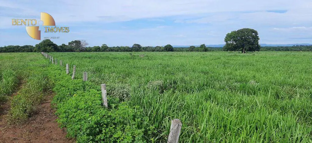 Fazenda à venda e para Arrendar de 632 ha em Poconé, MT, Brasil