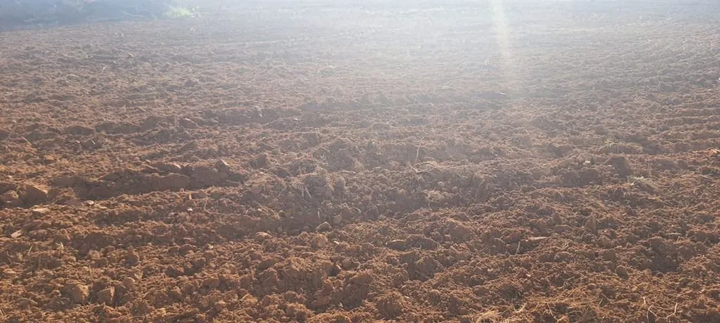 Fazenda à venda e para Arrendar de 632 ha em Poconé, MT, Brasil