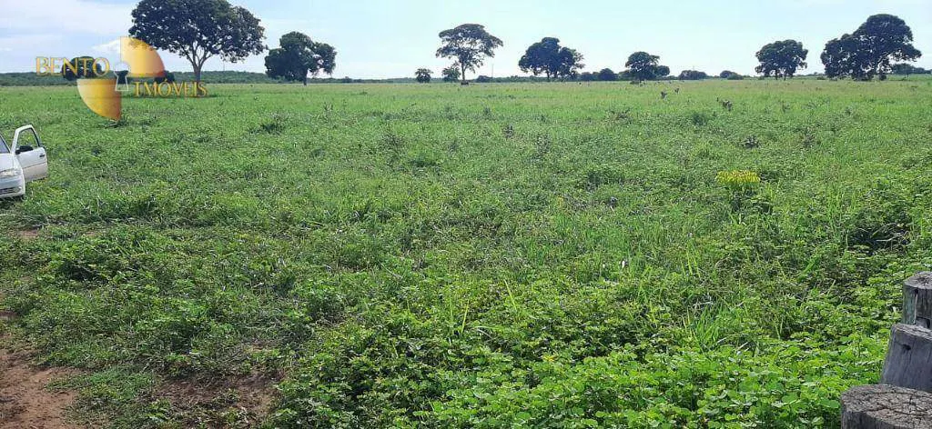 Fazenda à venda e para Arrendar de 632 ha em Poconé, MT, Brasil