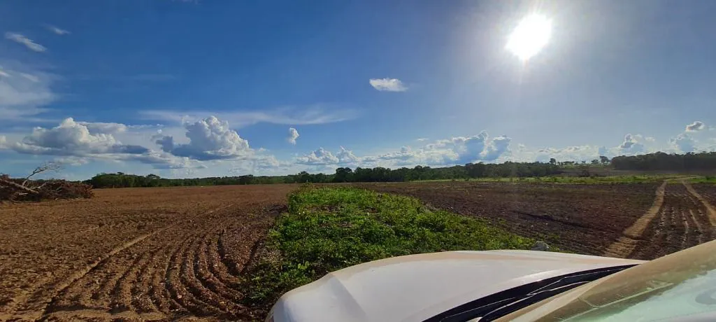 Fazenda à venda e para Arrendar de 632 ha em Poconé, MT, Brasil