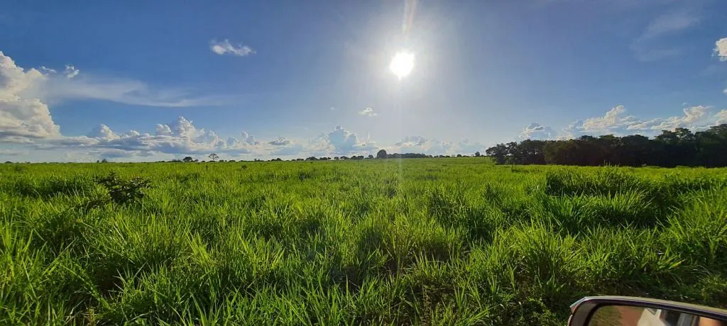 Fazenda à venda e para Arrendar de 632 ha em Poconé, MT, Brasil