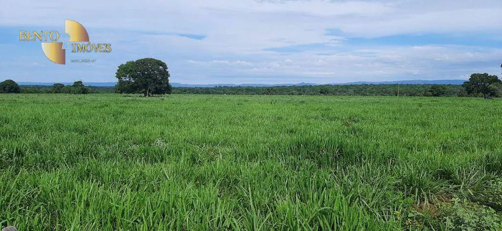 Fazenda à venda e para Arrendar de 632 ha em Poconé, MT, Brasil