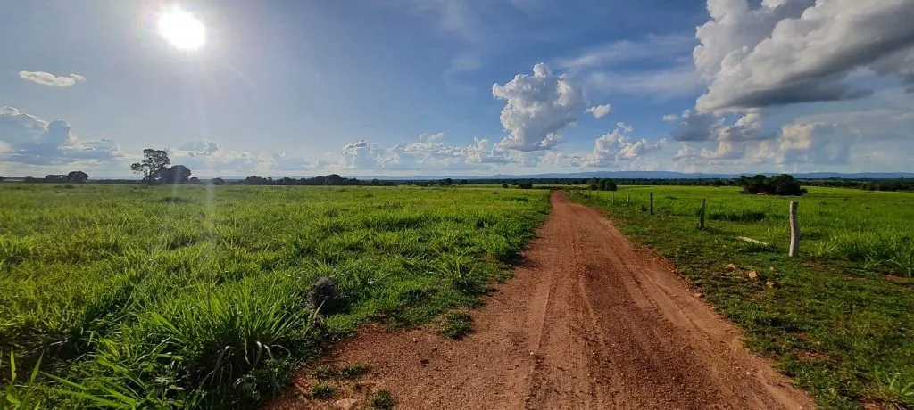 Fazenda à venda e para Arrendar de 632 ha em Poconé, MT, Brasil