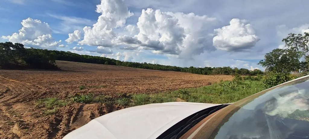 Fazenda à venda e para Arrendar de 632 ha em Poconé, MT, Brasil
