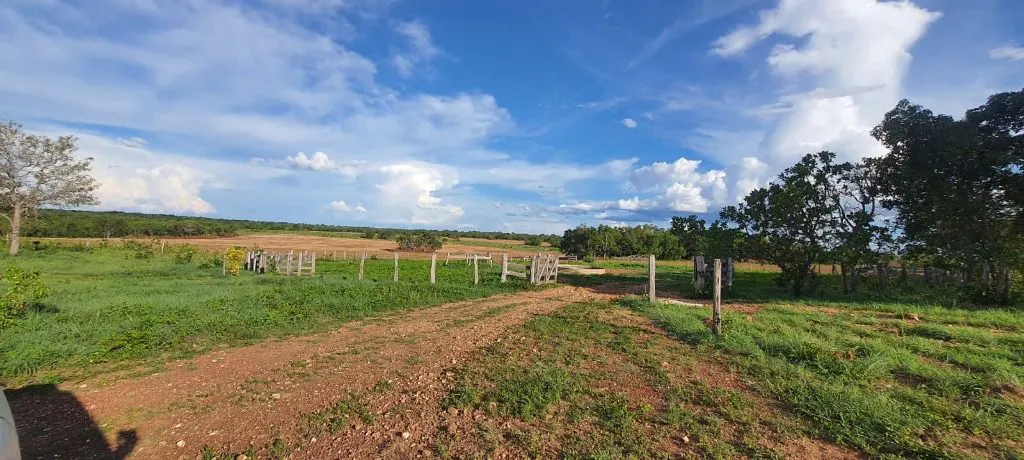 Fazenda à venda e para Arrendar de 632 ha em Poconé, MT, Brasil