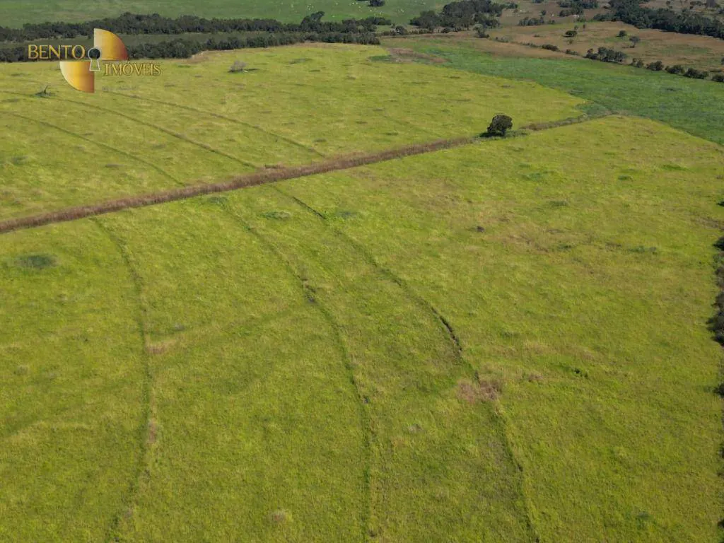 Fazenda à venda e para Arrendar de 632 ha em Poconé, MT, Brasil