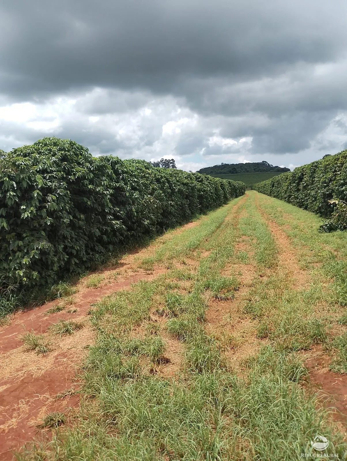 Farm for sale of 12,479 acres in Ibiá, MG, Brazil