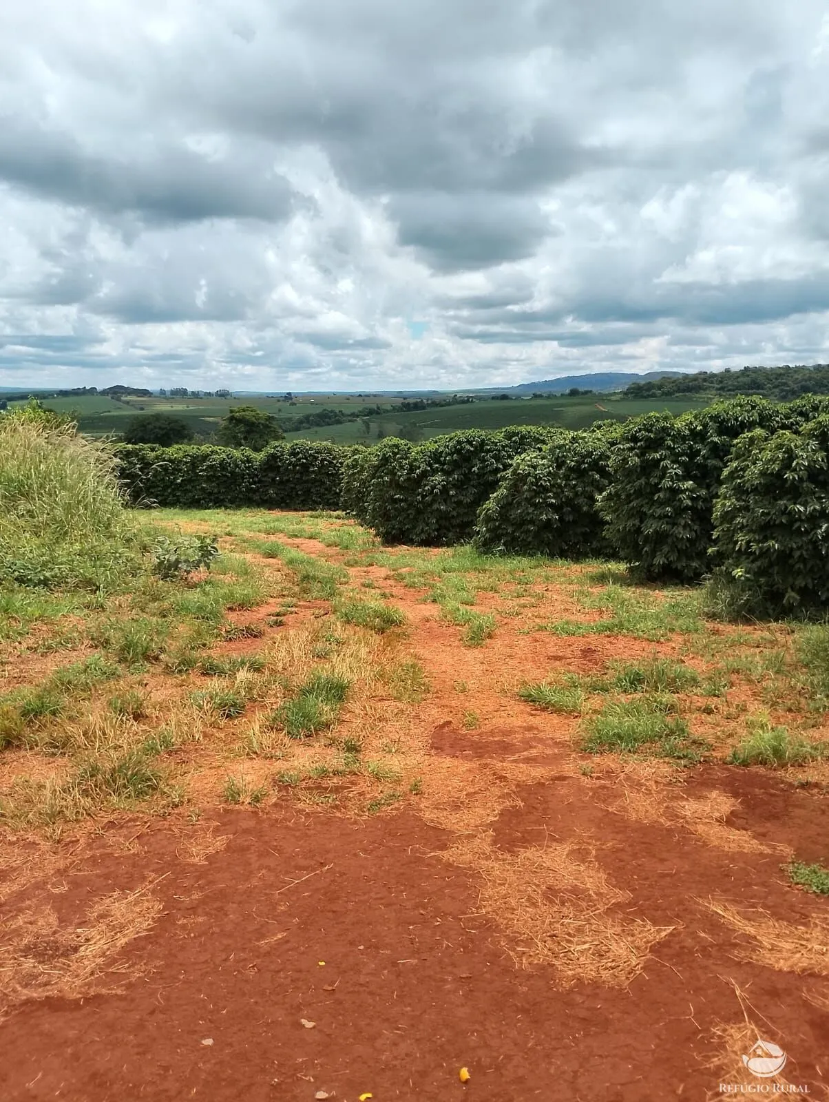 Farm for sale of 12,479 acres in Ibiá, MG, Brazil