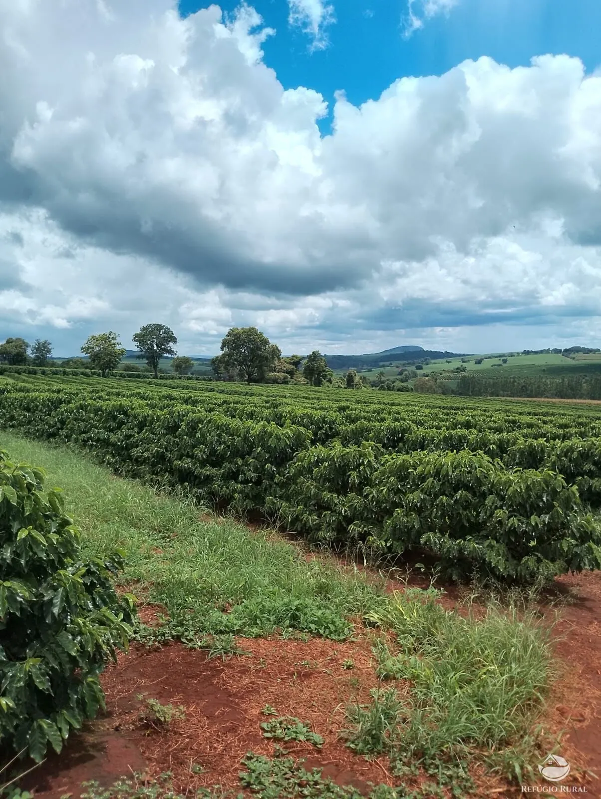 Farm for sale of 12,479 acres in Ibiá, MG, Brazil
