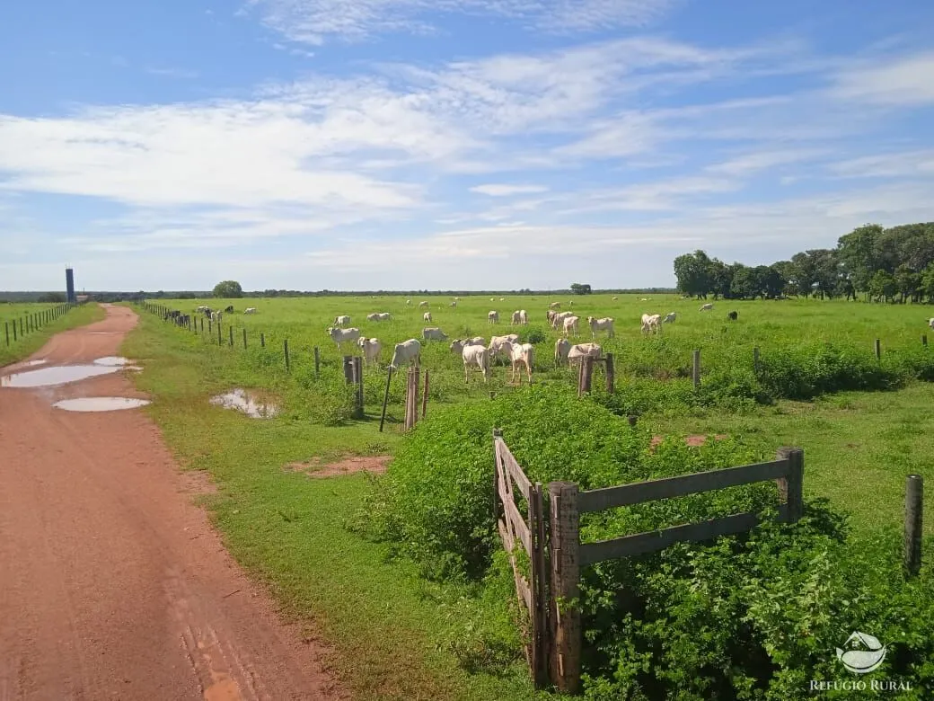 Fazenda à venda de 2.937 ha em Formoso do Araguaia, TO, Brasil
