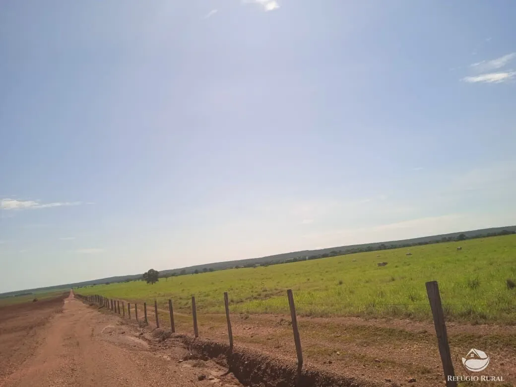Fazenda à venda de 2.937 ha em Formoso do Araguaia, TO, Brasil
