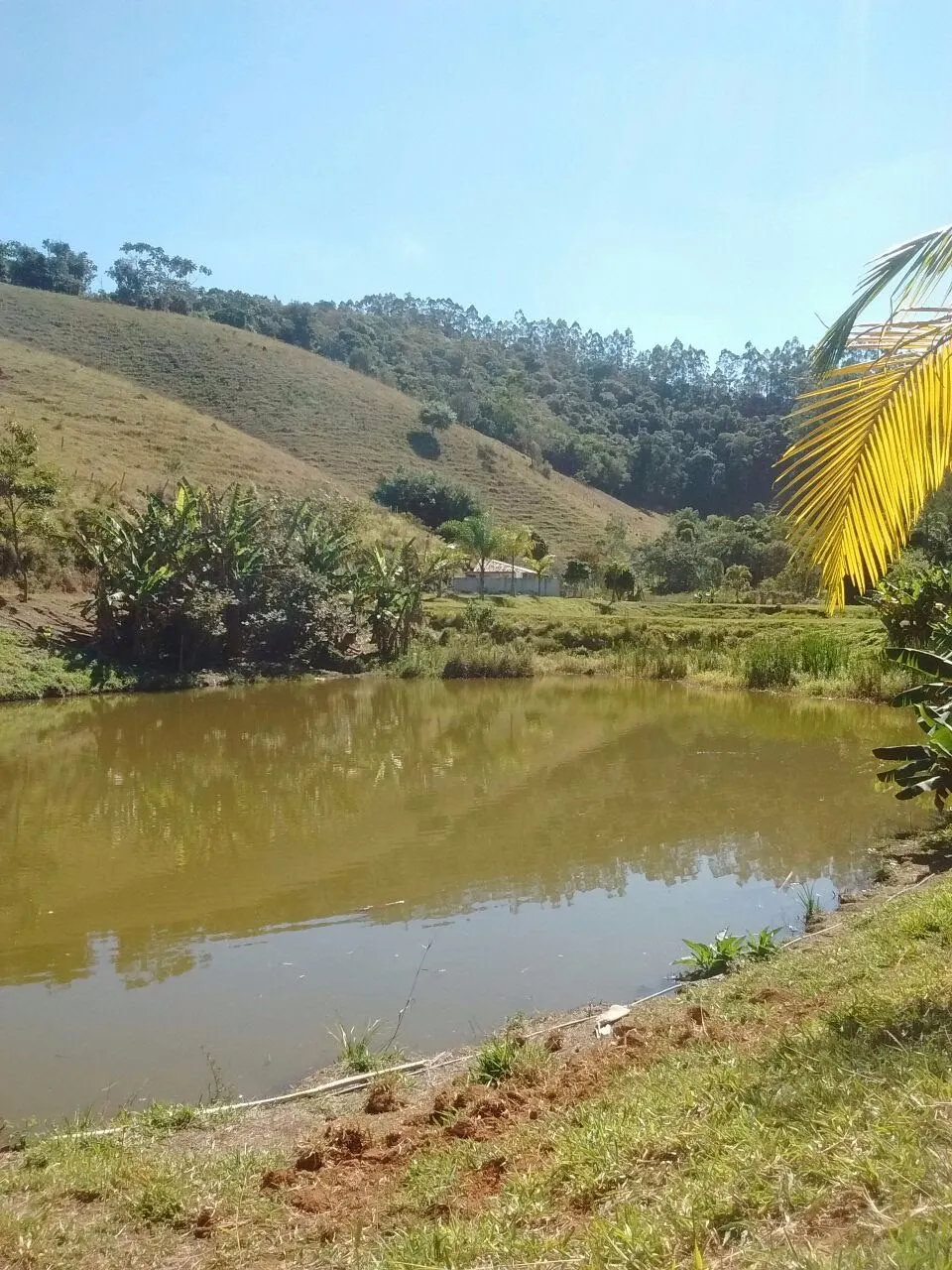 Sítio à venda de 29 ha em Paraibuna, SP, Brasil