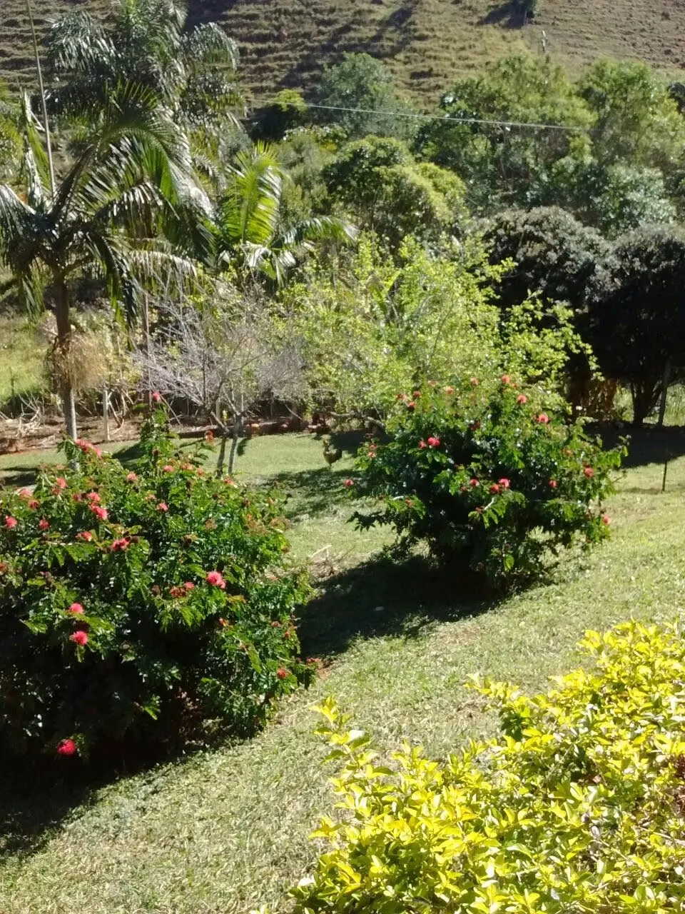 Sítio à venda de 29 ha em Paraibuna, SP, Brasil
