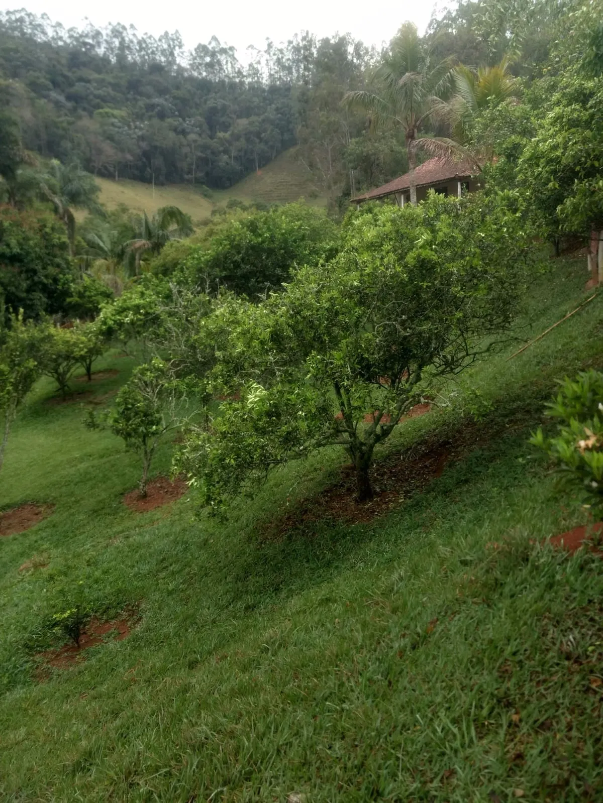 Sítio à venda de 29 ha em Paraibuna, SP, Brasil