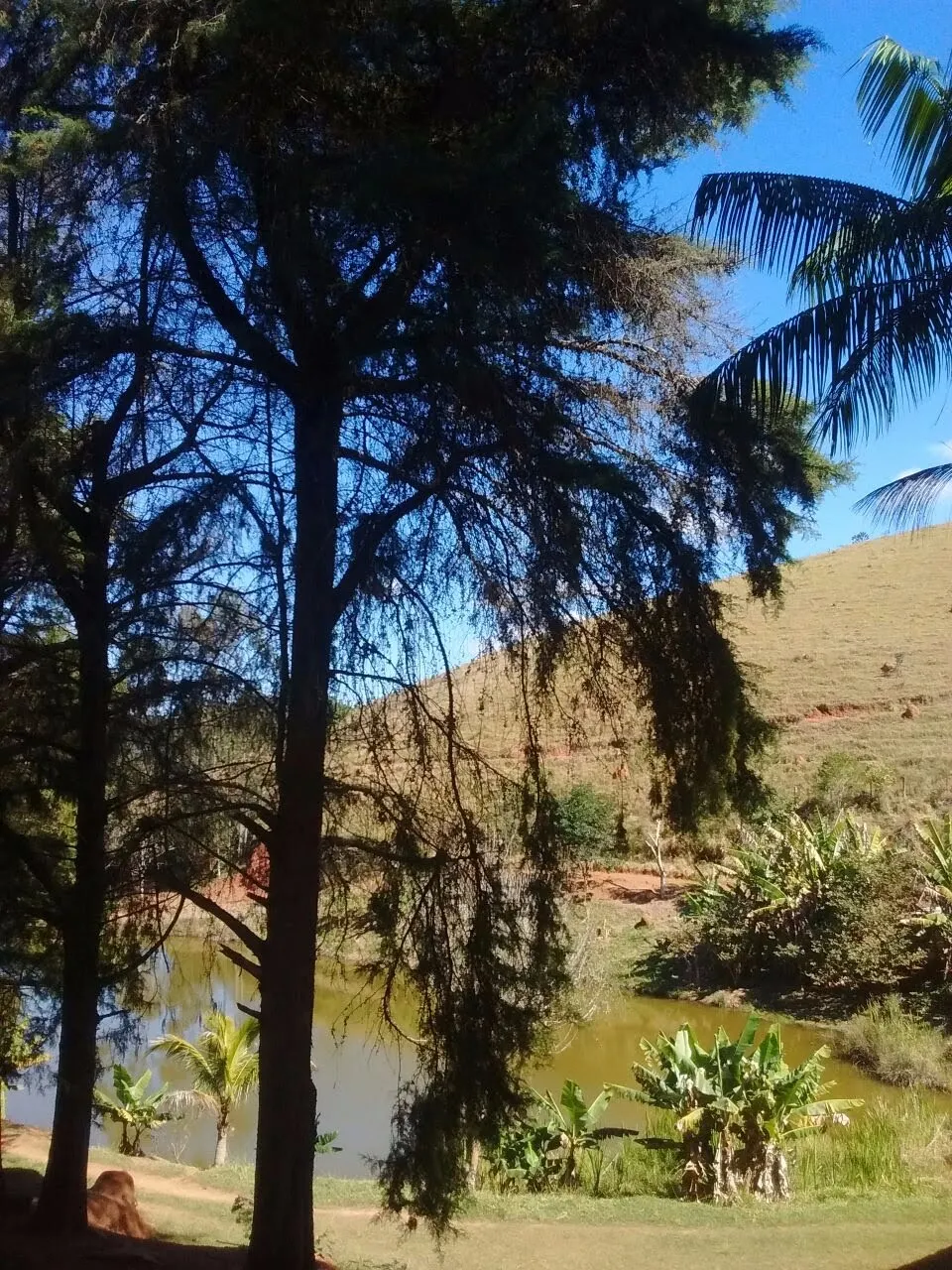 Sítio à venda de 29 ha em Paraibuna, SP, Brasil