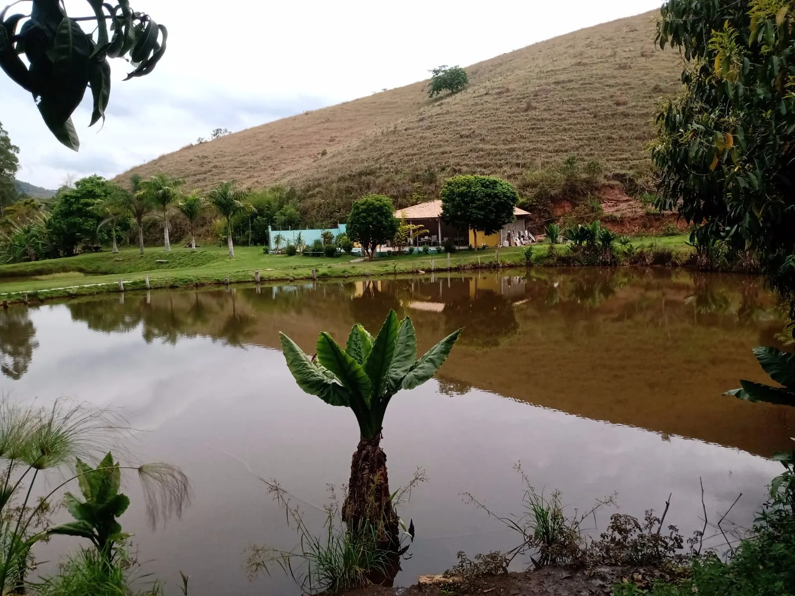 Sítio à venda de 29 ha em Paraibuna, SP, Brasil