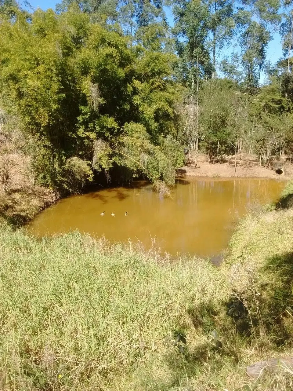 Sítio à venda de 29 ha em Paraibuna, SP, Brasil