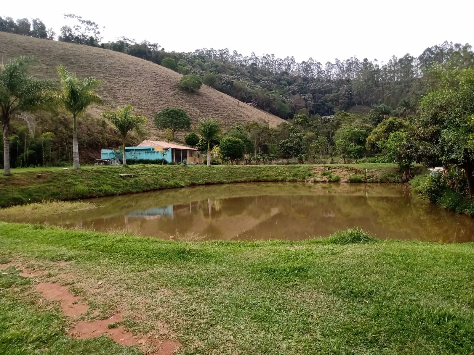 Sítio à venda de 29 ha em Paraibuna, SP, Brasil