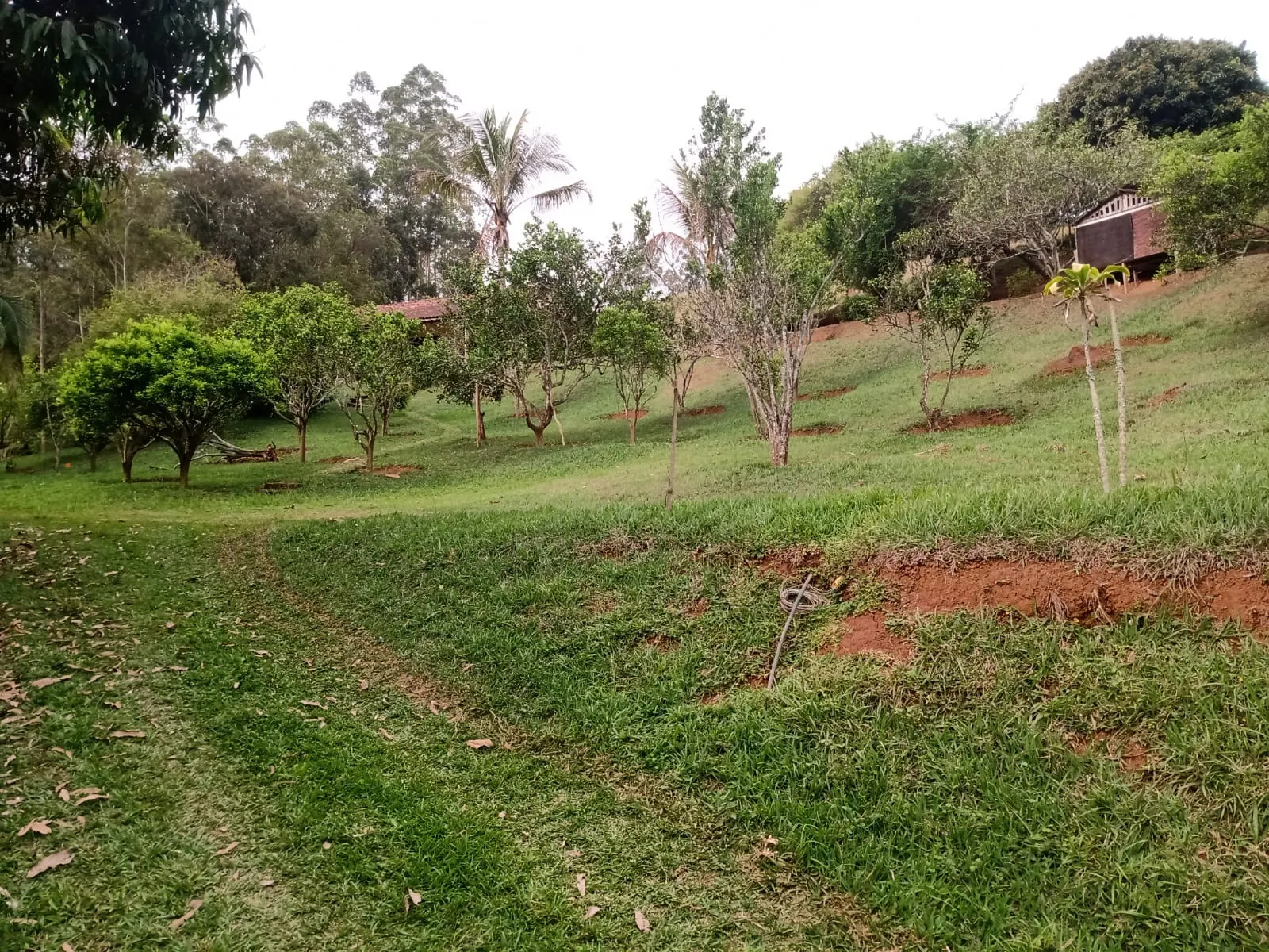 Sítio à venda de 29 ha em Paraibuna, SP, Brasil