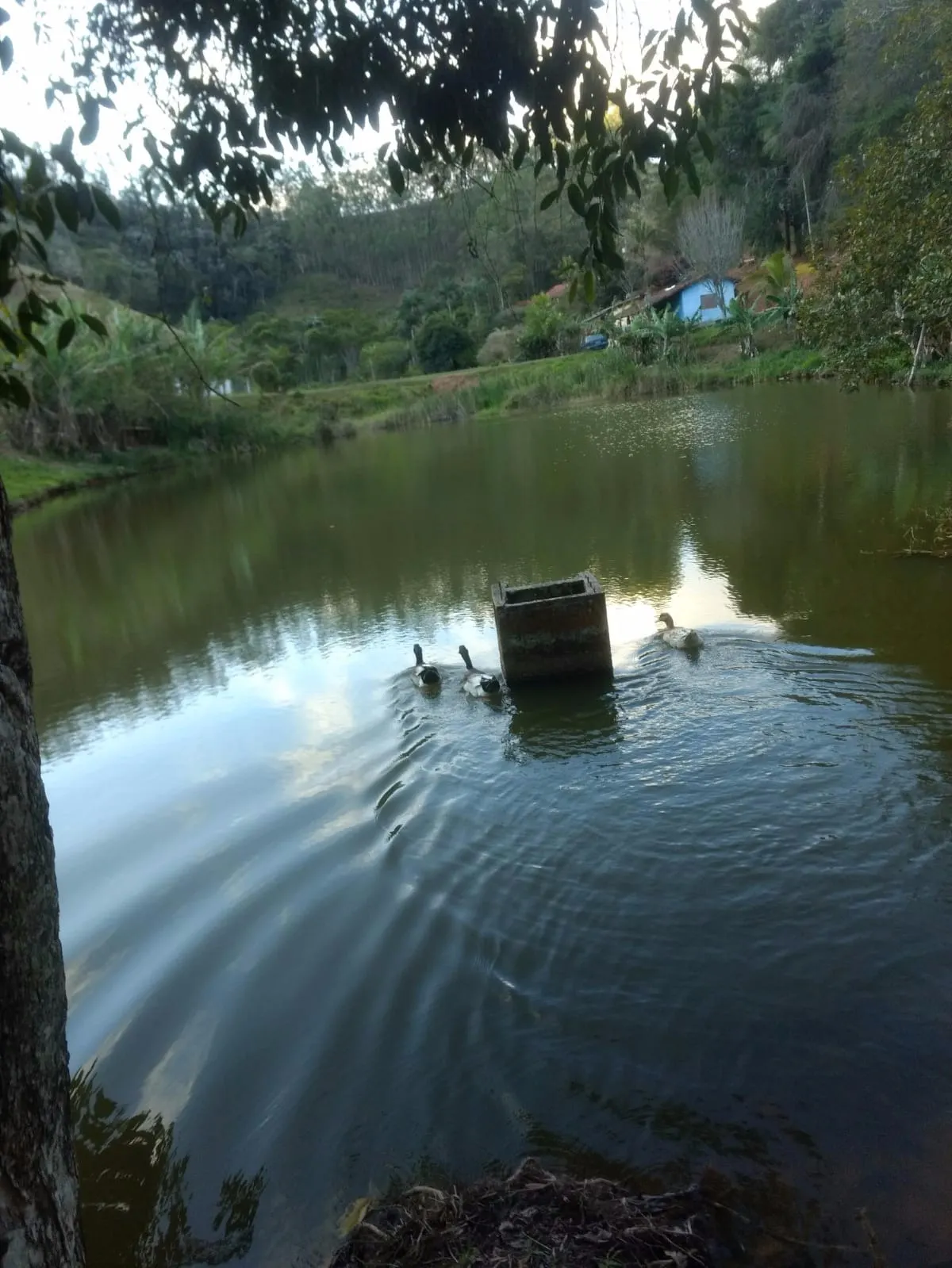 Sítio à venda de 29 ha em Paraibuna, SP, Brasil