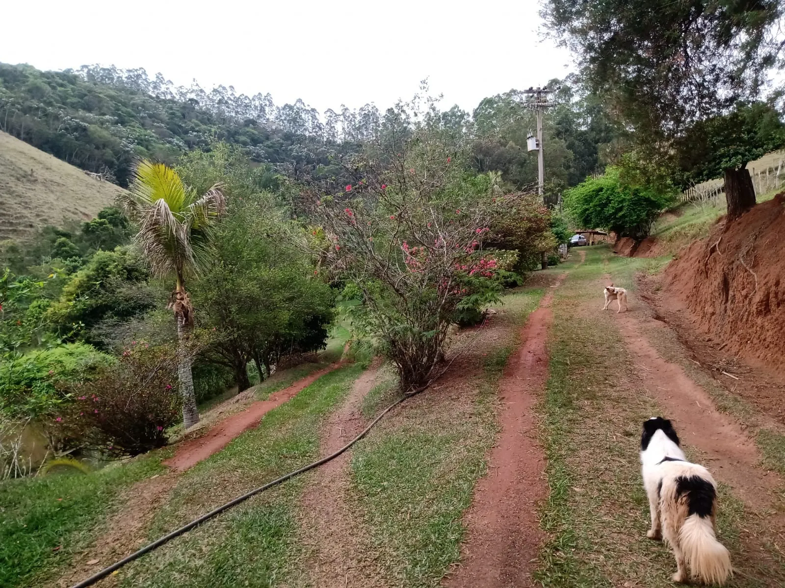 Sítio à venda de 29 ha em Paraibuna, SP, Brasil