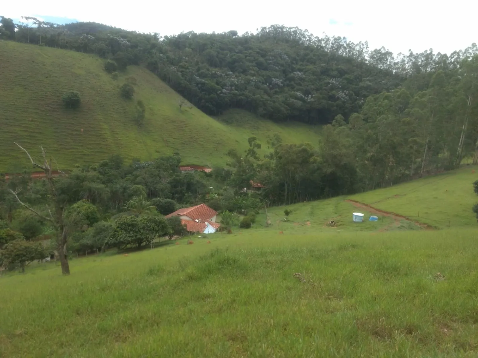 Sítio à venda de 29 ha em Paraibuna, SP, Brasil