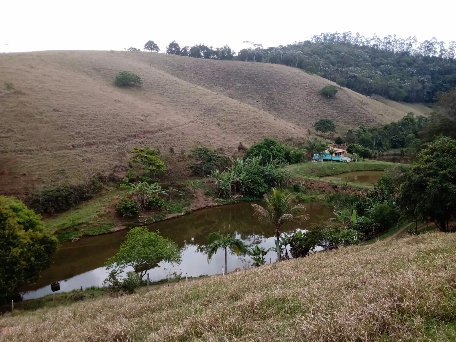 Sítio à venda de 29 ha em Paraibuna, SP, Brasil