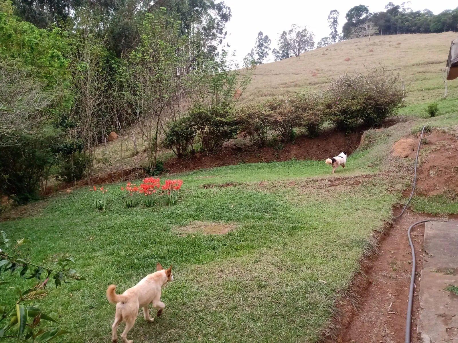 Sítio à venda de 29 ha em Paraibuna, SP, Brasil