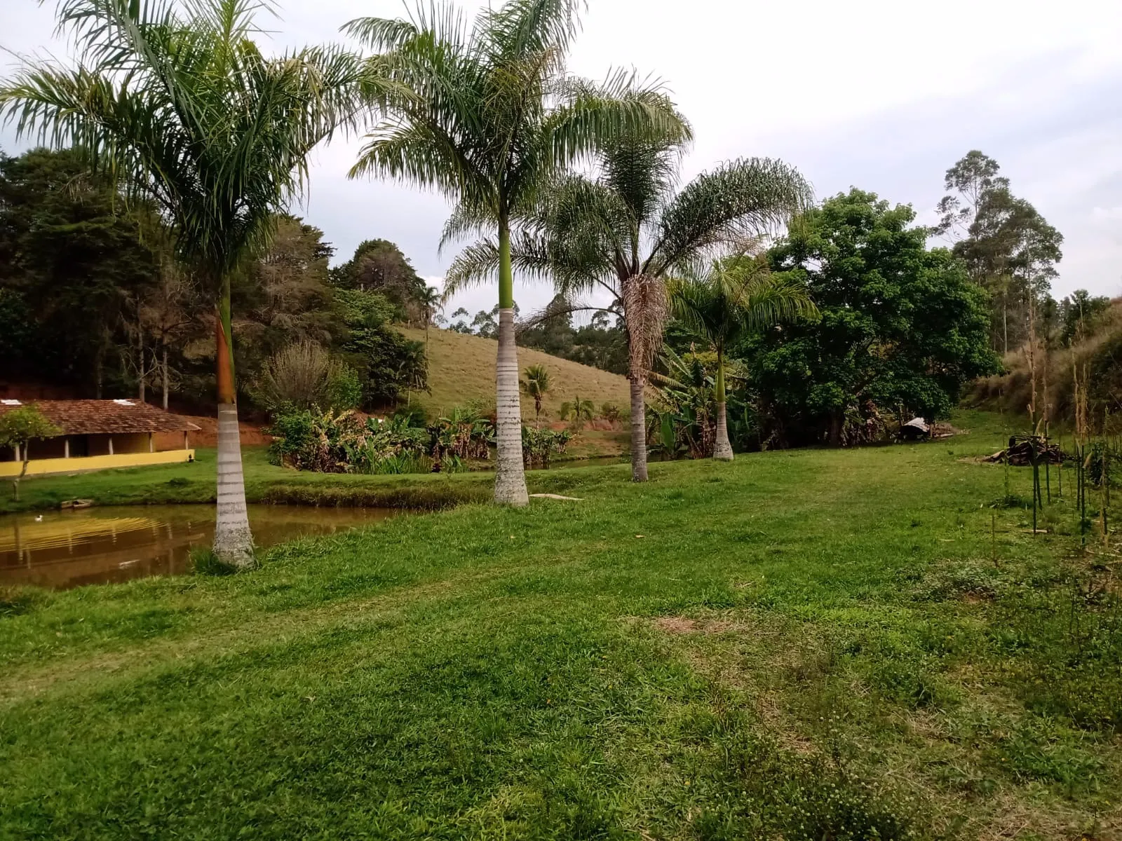 Sítio à venda de 29 ha em Paraibuna, SP, Brasil