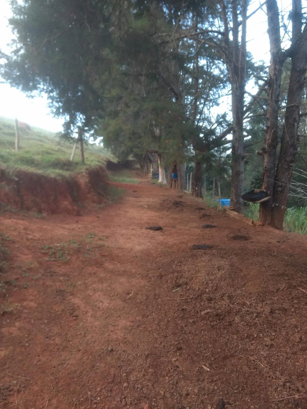 Sítio à venda de 29 ha em Paraibuna, SP, Brasil