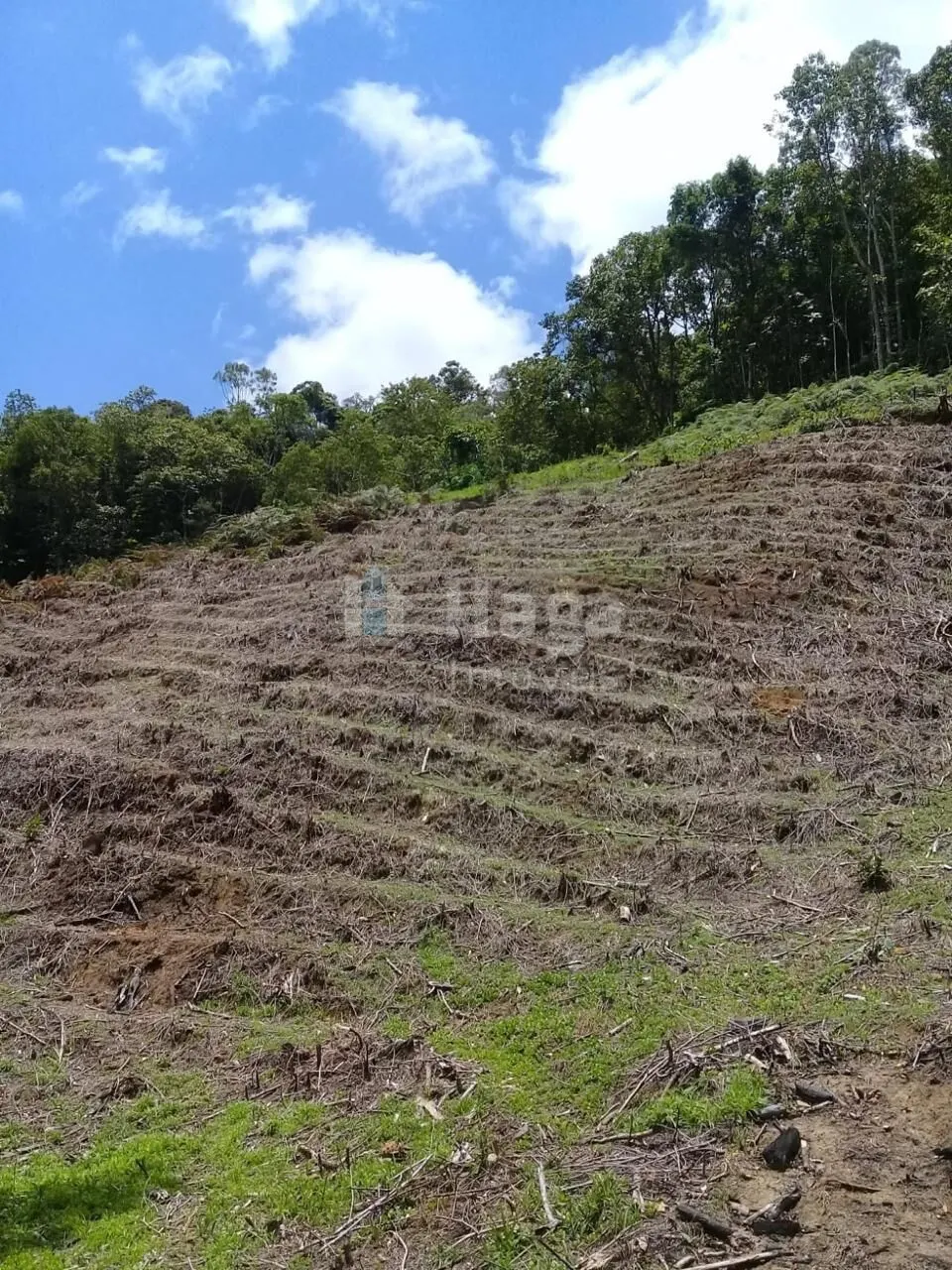 Fazenda à venda de 4 ha em Nova Trento, SC, Brasil