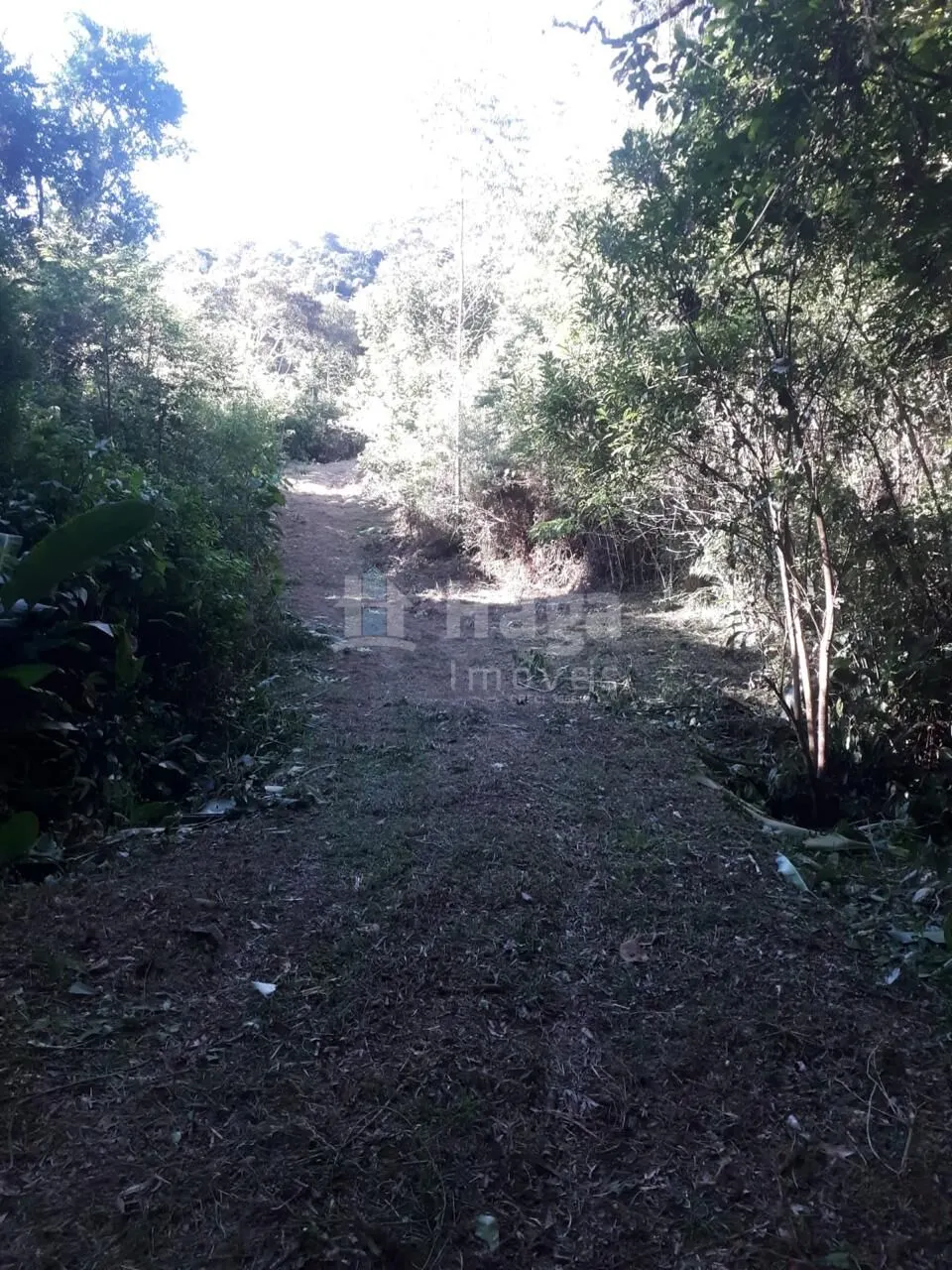 Fazenda à venda de 4 ha em Nova Trento, SC, Brasil
