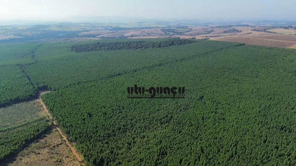 Farm for sale of 1,920 acres in Itu, SP, Brazil