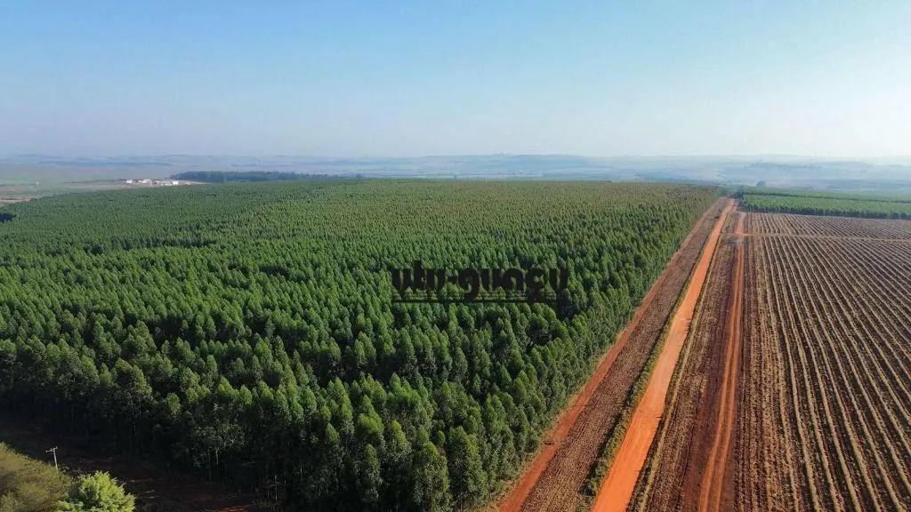 Farm for sale of 1,920 acres in Itu, SP, Brazil