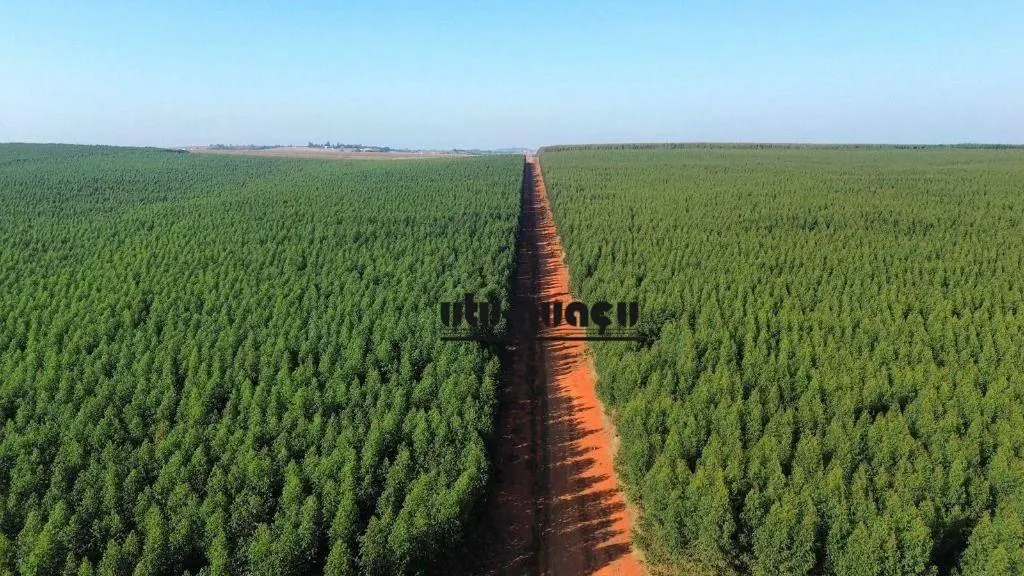 Farm for sale of 1,920 acres in Itu, SP, Brazil