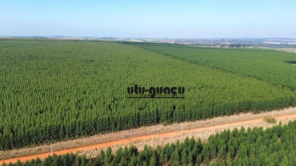 Farm for sale of 1,920 acres in Itu, SP, Brazil