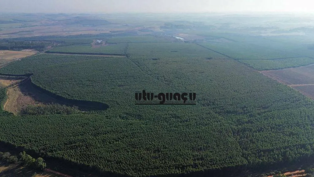 Farm for sale of 1,920 acres in Itu, SP, Brazil