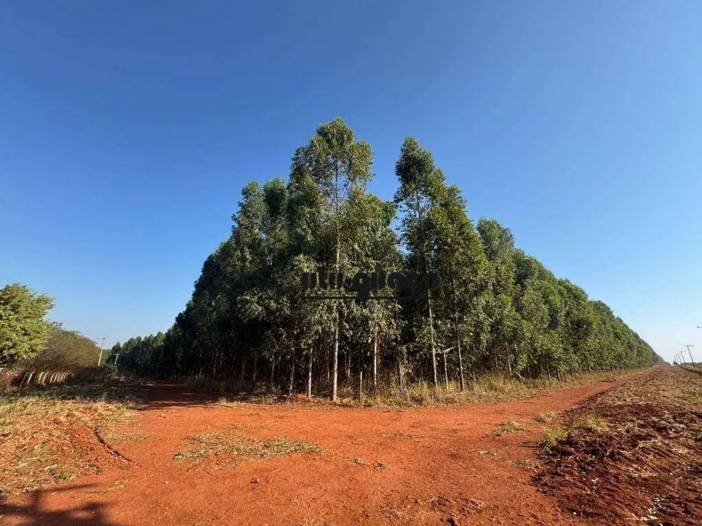 Farm for sale of 1,920 acres in Itu, SP, Brazil