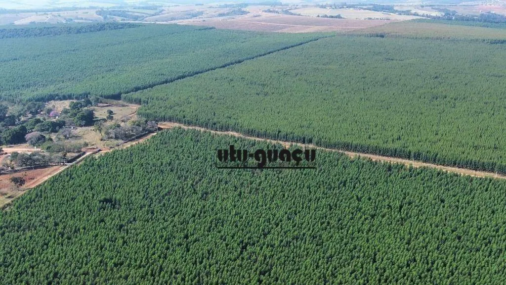 Farm for sale of 1,920 acres in Itu, SP, Brazil