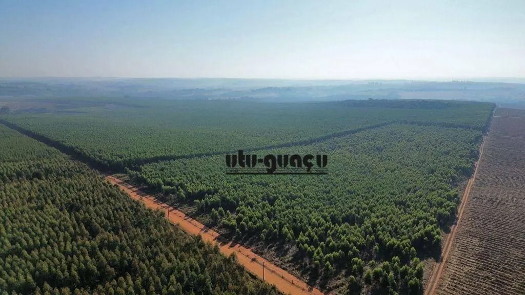 Farm for sale of 1,920 acres in Itu, SP, Brazil