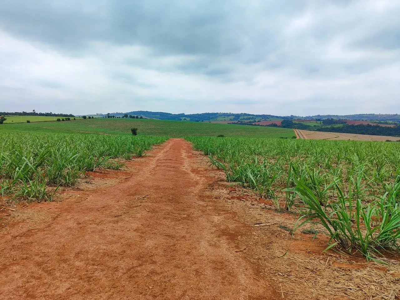 Fazenda à venda de 102 ha em Tatuí, SP, Brasil